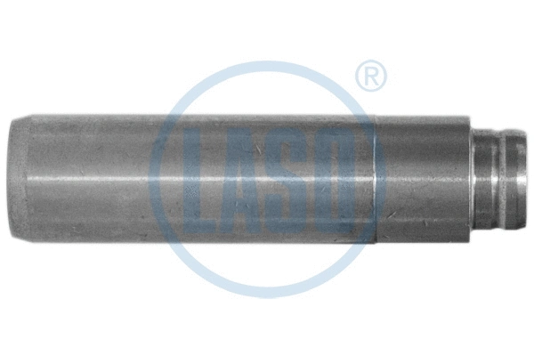 Valve Guide (20052921)