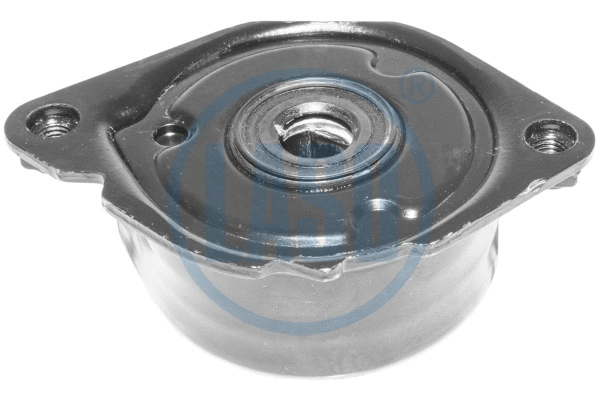 Belt Tensioner, V-ribbed belt (10207324)