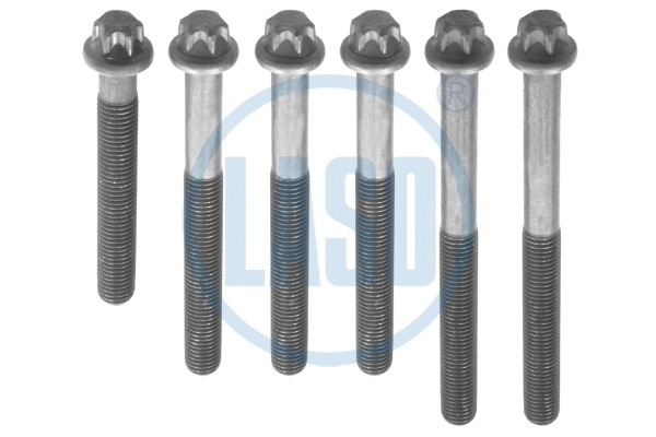 Cylinder Head Bolt Set (55580100)