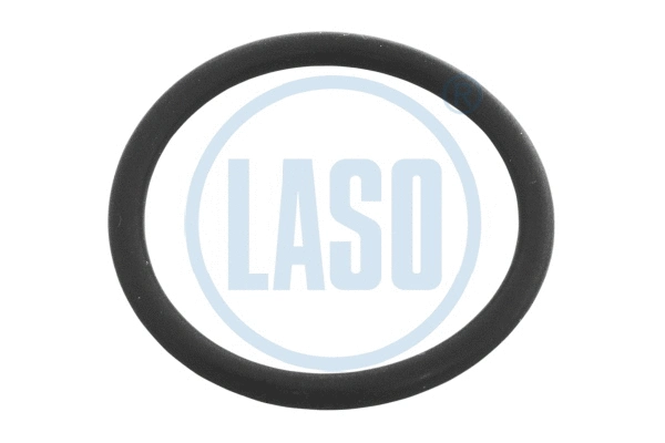Seal Ring (55204500)