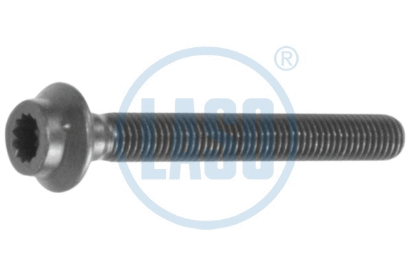 Cylinder Head Bolt (20017106)