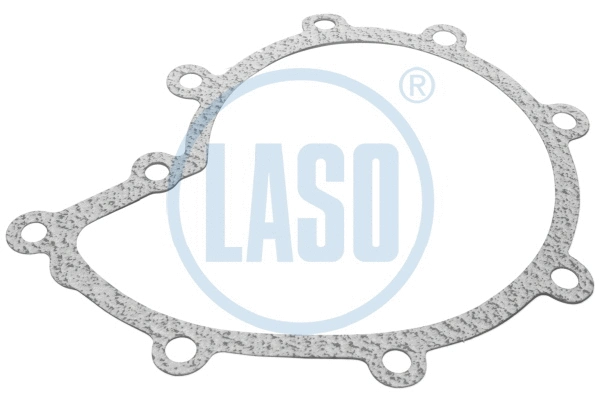 Gasket, water pump (85208010)