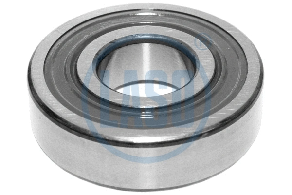 Crankshaft Bearing (85039801)