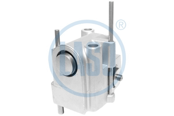 Chain Tensioner, oil pump drive (10050107)