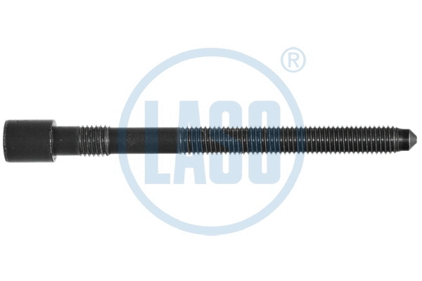 Cylinder Head Bolt (95017117)