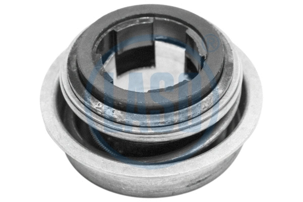 Shaft Seal, water pump shaft (20201900A)