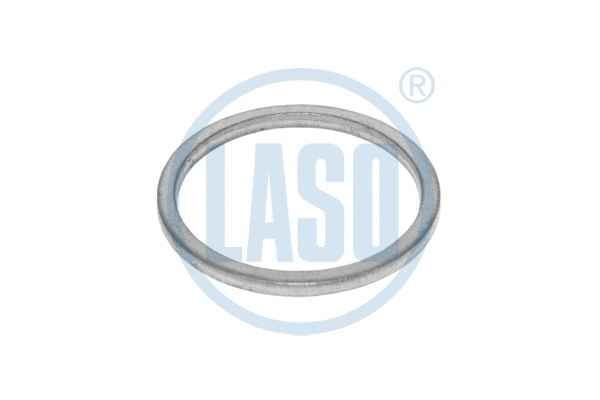 Seal Ring (D07603007)