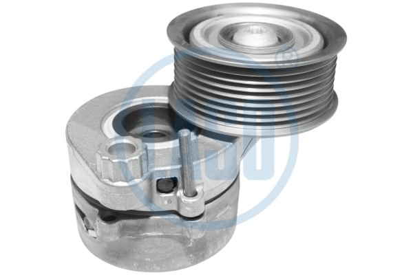 Belt Tensioner, V-ribbed belt (20207365)