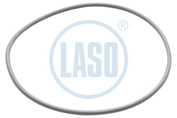Seal Ring (55204508)