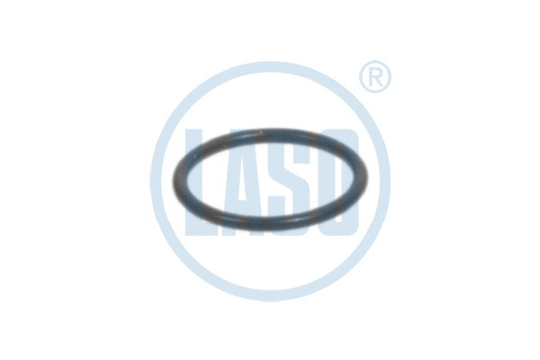 Seal Ring (20184502)