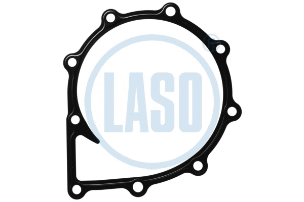 Gasket, water pump (55208018)