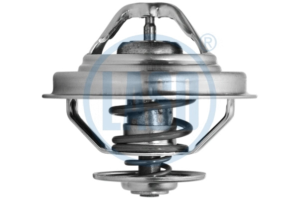 Thermostat, coolant (95201507)