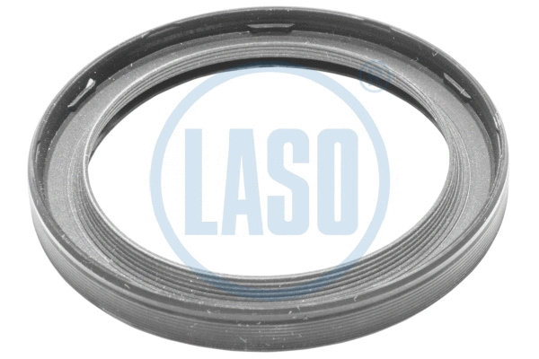 Shaft Seal (D06504036)