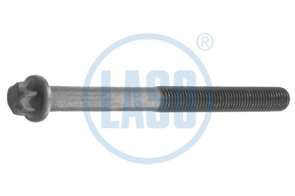 Cylinder Head Bolt (55017100)