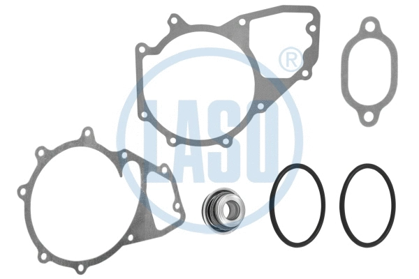 Gasket, water pump (20582043)
