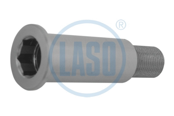 Bearing Journal, tensioner pulley lever (20207103)