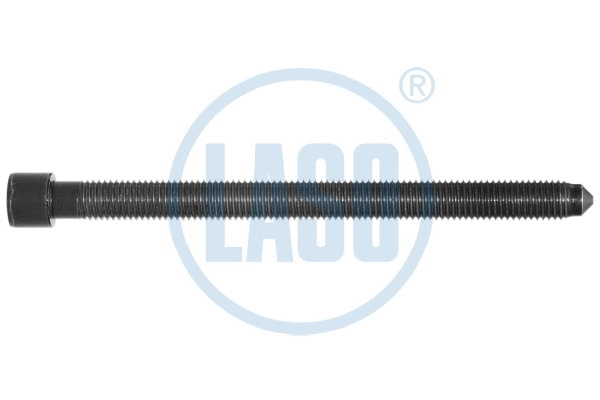 Cylinder Head Bolt (95017121)