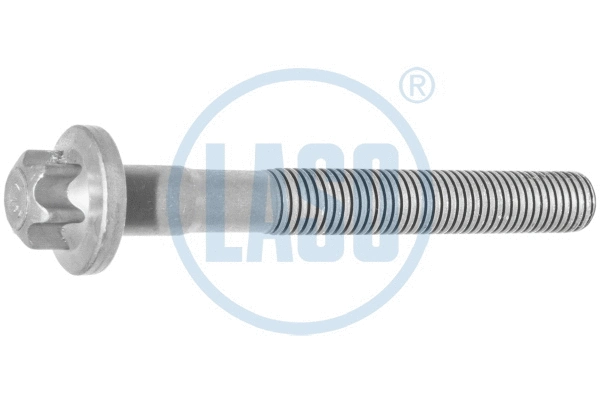 Cylinder Head Bolt (20017121)