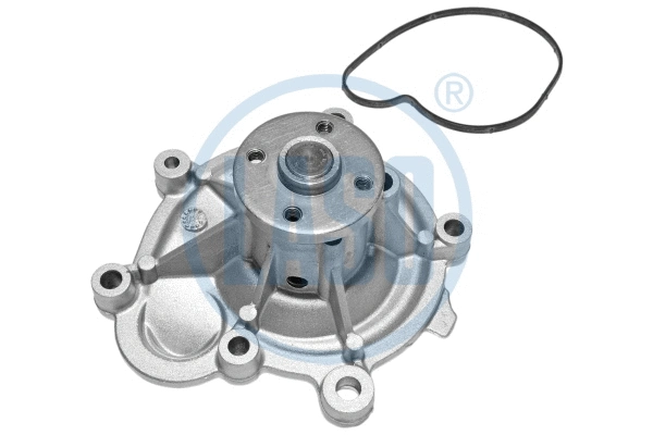 Water Pump, engine cooling (20200196)