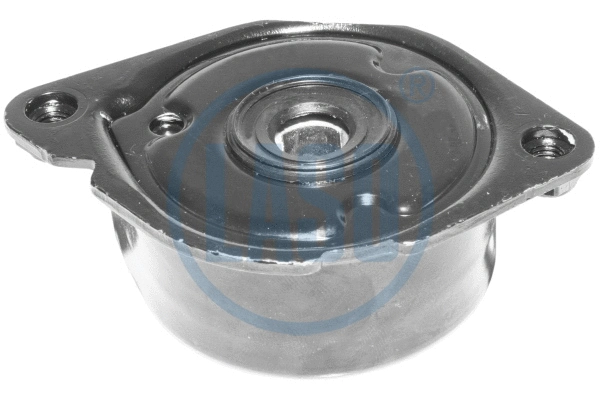 Belt Tensioner, V-ribbed belt (10207320)