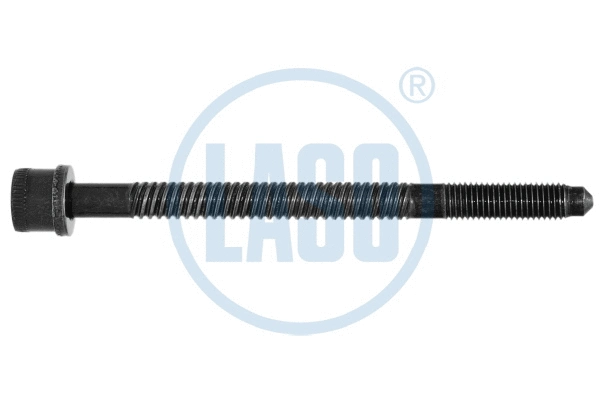 Cylinder Head Bolt (95017115)
