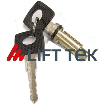 Exterior Door Handle (LT801035)