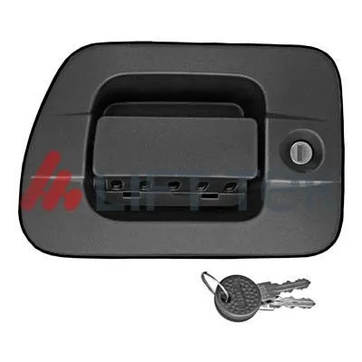 Exterior Door Handle (LT80495SC)