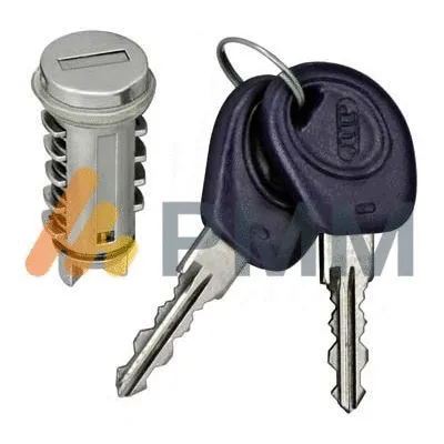 Lock Cylinder (AL801017)