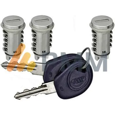 Lock Cylinder (AL801211)