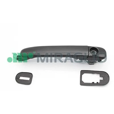Exterior Door Handle (80.763.08)