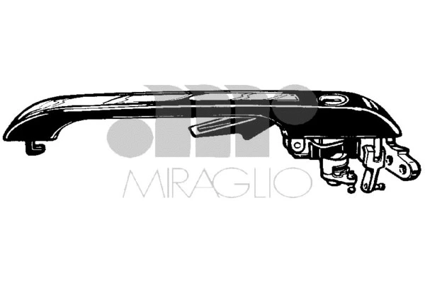 Exterior Door Handle (80.765.05)
