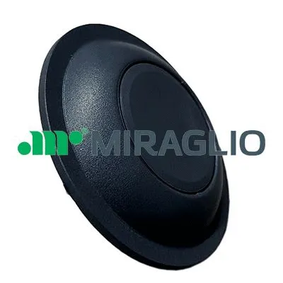 Door Handle, interior equipment (60/422)