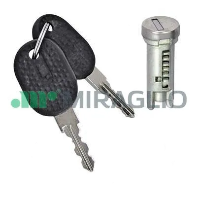 Lock Cylinder (80/1000)