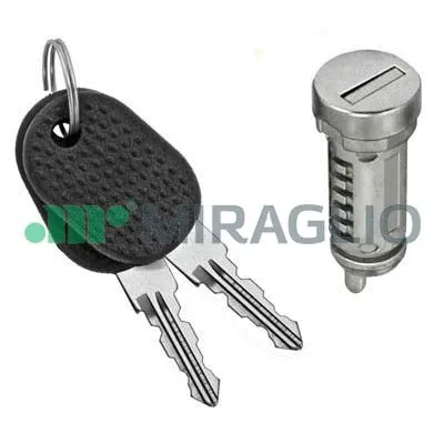 Lock Cylinder (80/1011)