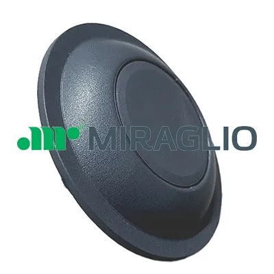 Door Handle, interior equipment (60/423)