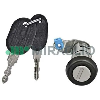 Lock Cylinder Housing (80/546)