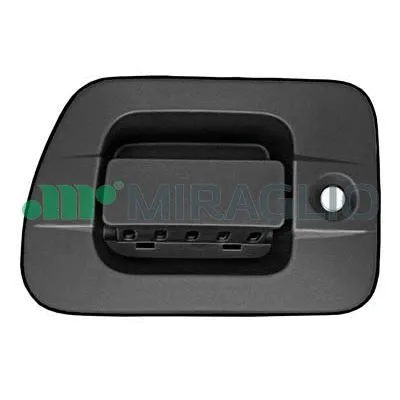 Exterior Door Handle (80/495SC)