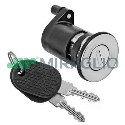 Lock Cylinder Housing (80/458)