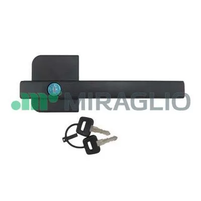 Exterior Door Handle (80/785)