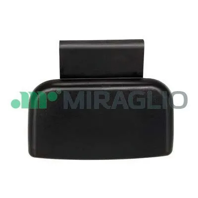 Exterior Door Handle (80/556)