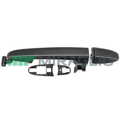 Exterior Door Handle (80/630)