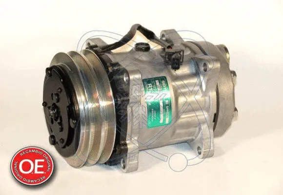 Compressor, air conditioning (20A8081)