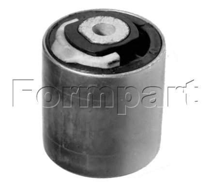Mounting, control/trailing arm (1100019)