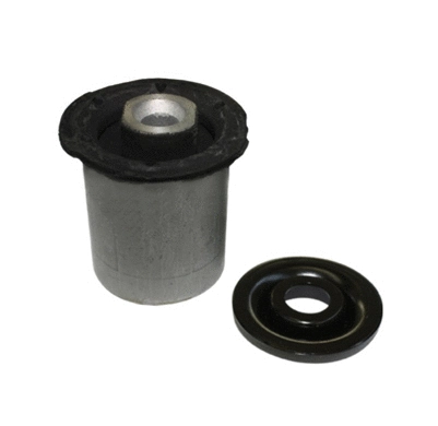 Mounting, control/trailing arm (1900145)