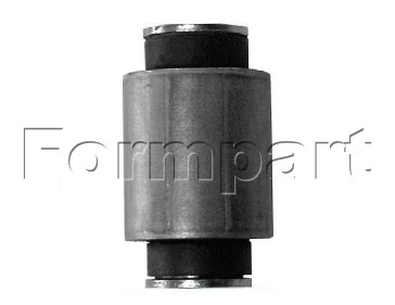 Mounting, control/trailing arm (1000011)