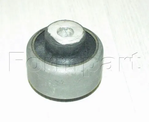 Mounting, control/trailing arm (1900022)