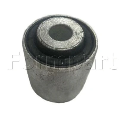 Mounting, control/trailing arm (1200120)