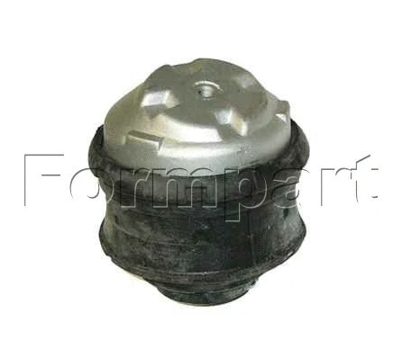 Mounting, engine (19199119/S)