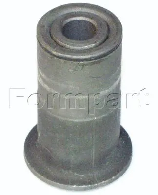 Mounting, control/trailing arm (1200019)