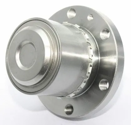 Wheel Hub (19498054/K)